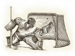 hockey goalie stock